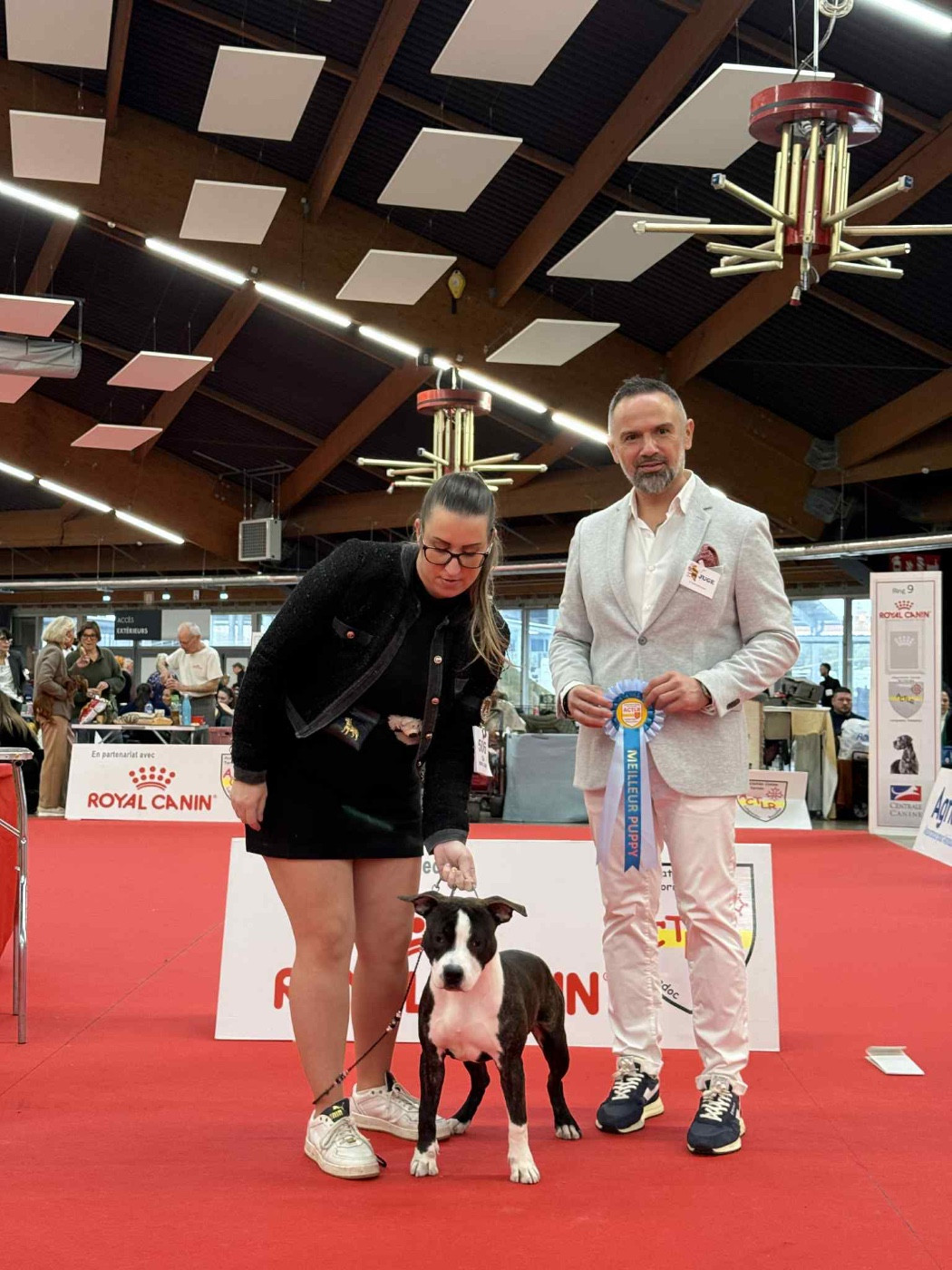 A Little Avenger Brindel Mighty Red Kennel